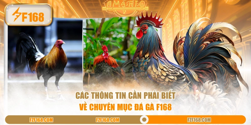 Các thông tin cần phải biết về chuyên mục Đá Gà F168