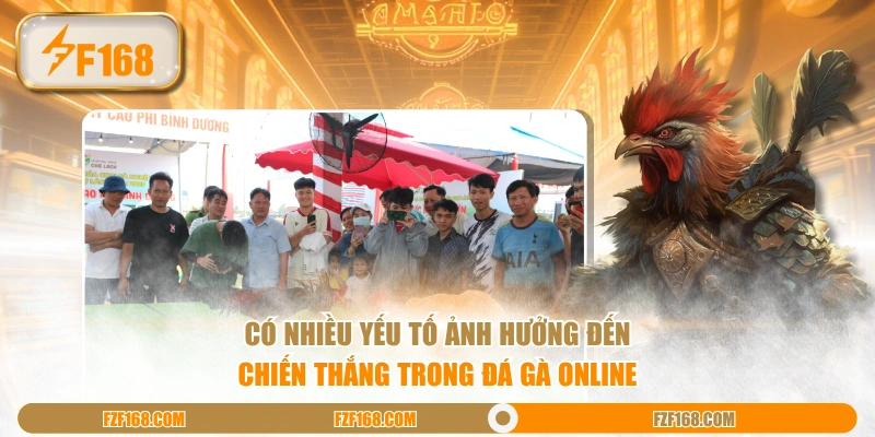 Có nhiều yếu tố ảnh hưởng đến chiến thắng trong đá gà online