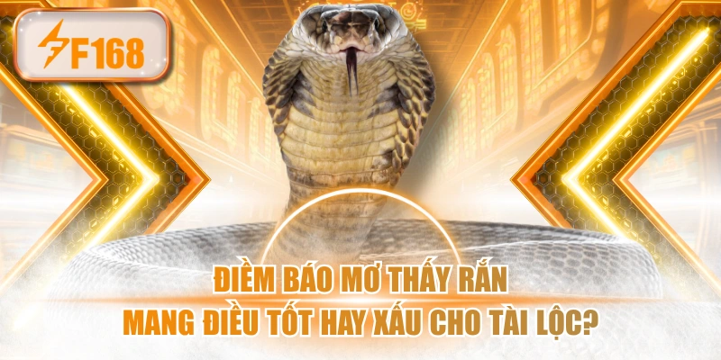 Điềm Báo Mơ Thấy Rắn Mang Điều Tốt Hay Xấu Cho Tài Lộc?